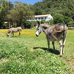 Le Manoir De Hotel Île de Port-Cros