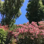 Le Manoir De Hotel Île de Port-Cros