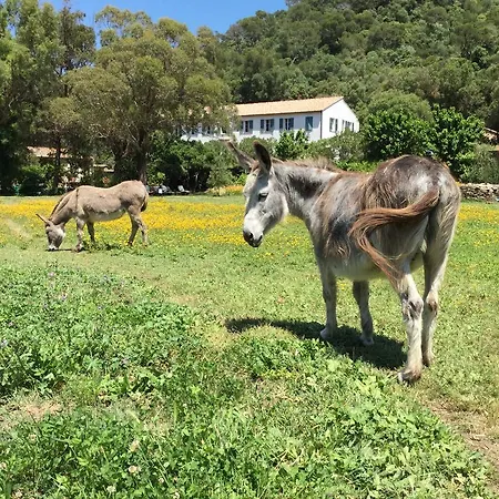 Le Manoir De Hotel Port-Cros