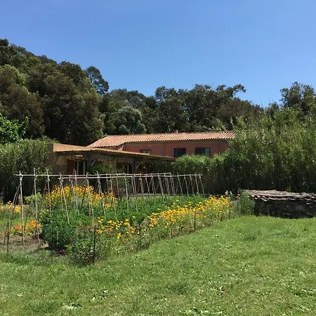 Le Manoir De *