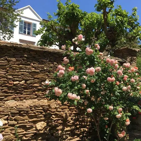 Le Manoir De Hotel Port-Cros