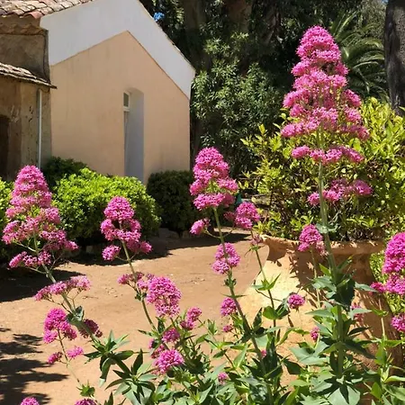 Le Manoir De Hotel Port-Cros