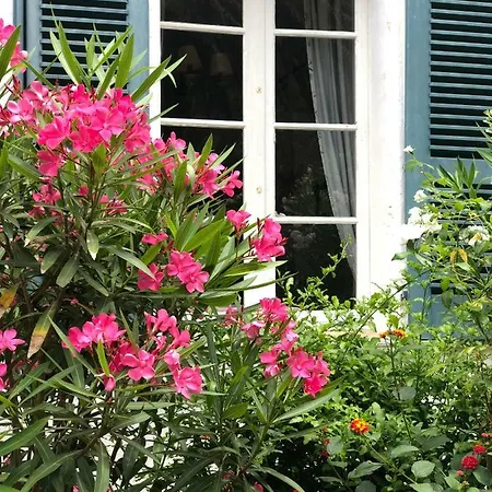 Le Manoir De Hotel Port-Cros