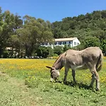 Le Manoir De Port-Cros